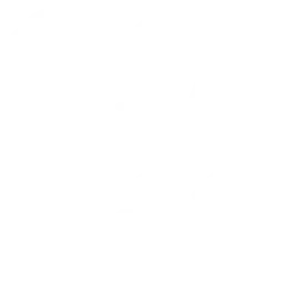 Actividades dirigidas para todos los niveles